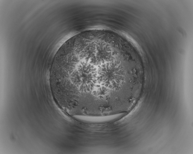 X0000115741329200911121529