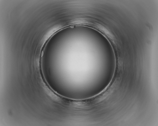 X0000115741330200911121529