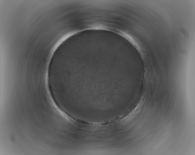 X0000115741331200911121529