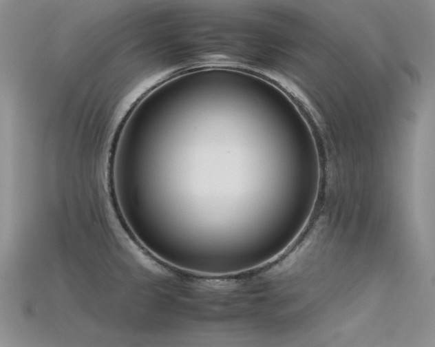 X0000115741333200911121529