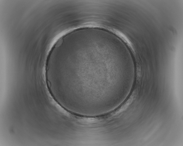 X0000115741334200911121529