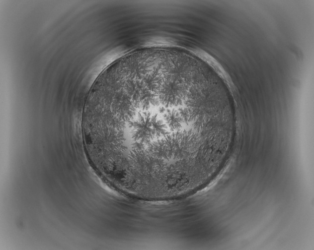 X0000115741337200911121530