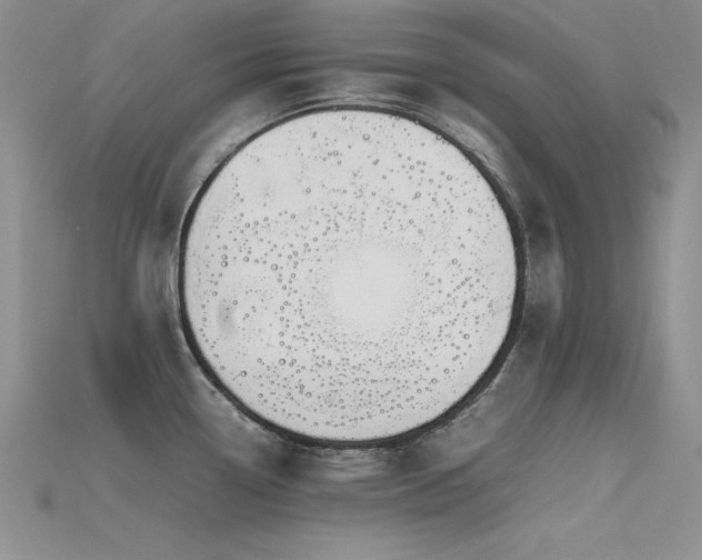 X0000115741338200911121530