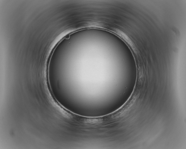 X0000115741339200911121530
