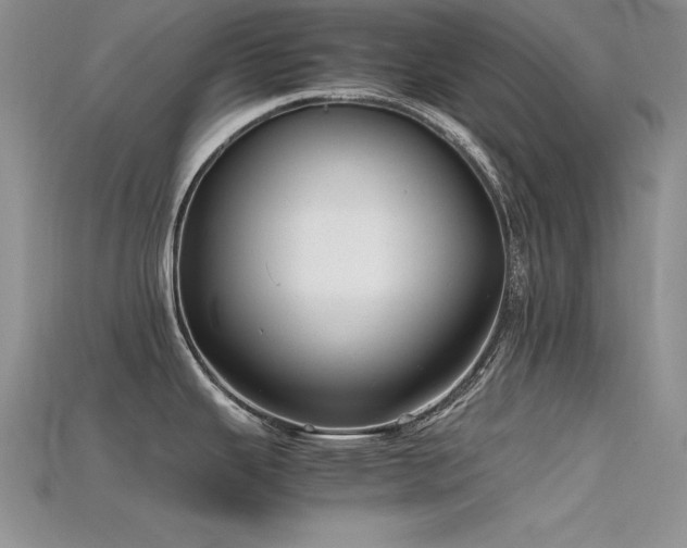 X0000115741343200911121530
