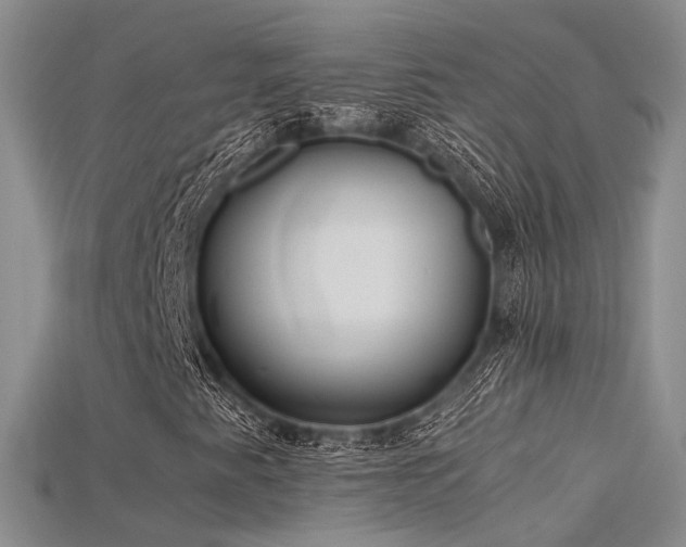 X0000115741345200911121529