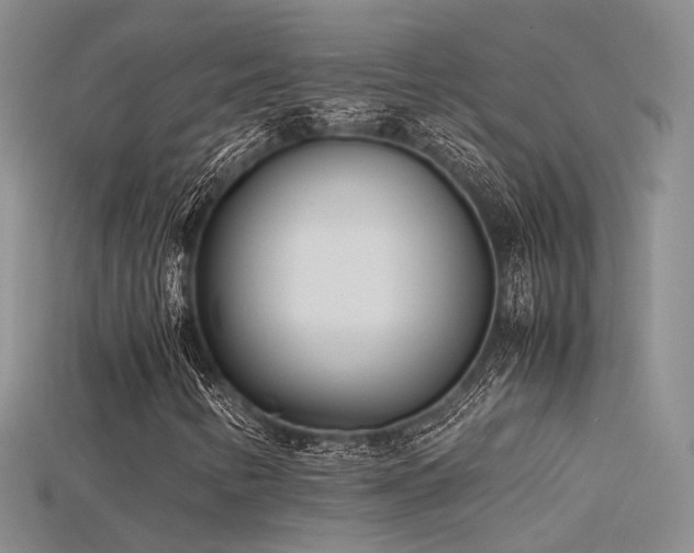 X0000115741346200911121529