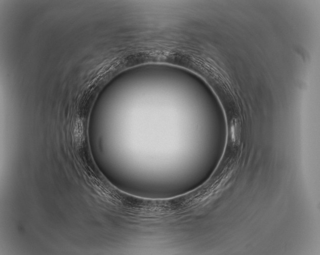 X0000115741347200911121529