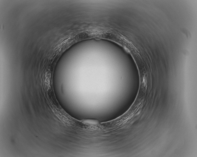 X0000115741348200911121529