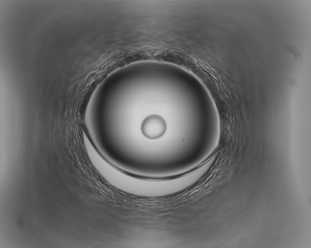 X0000115741349200911121529