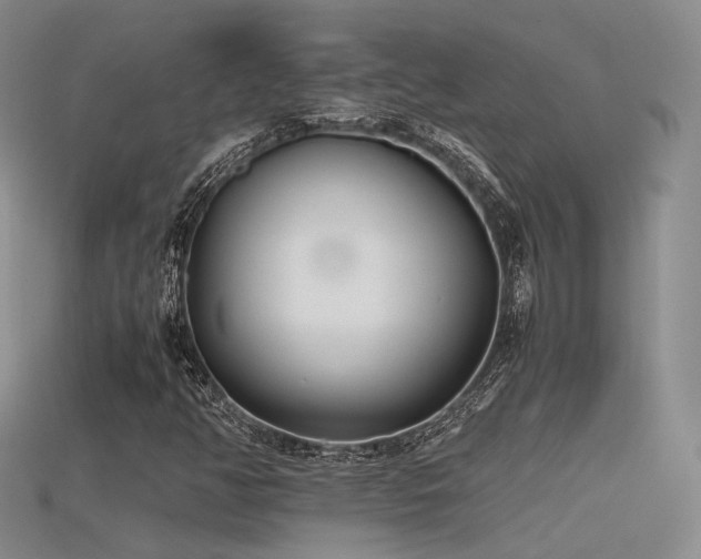 X0000115741350200911121529