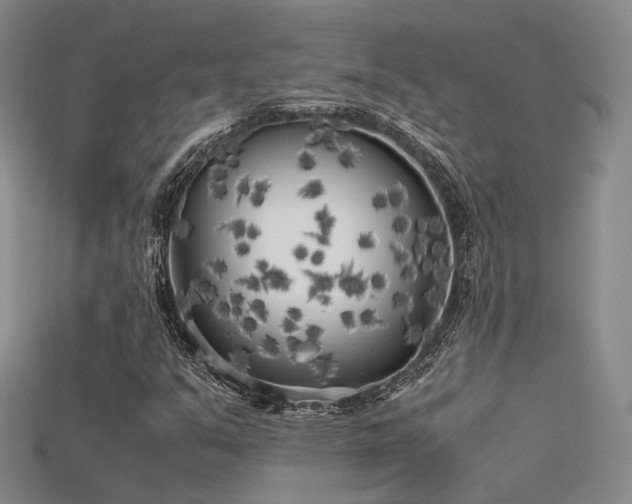 X0000115741351200911121529