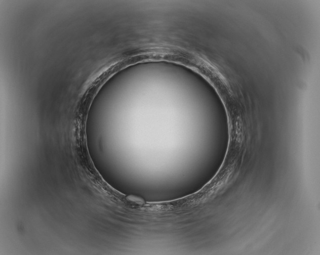 X0000115741352200911121529