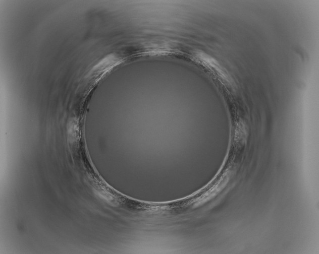 X0000115741353200911121529
