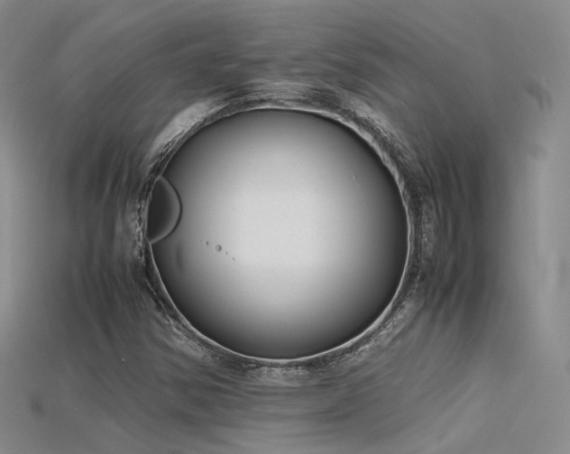 X0000115741354200911121529