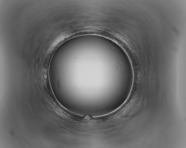 X0000115741355200911121529