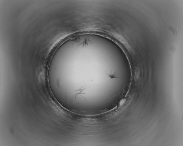 X0000115741356200911121529