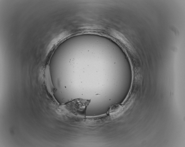 X0000115741357200911121529
