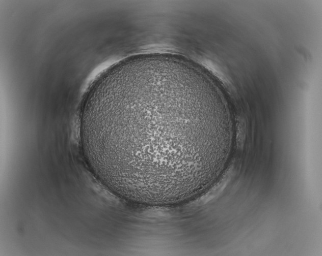 X0000115741358200911121529