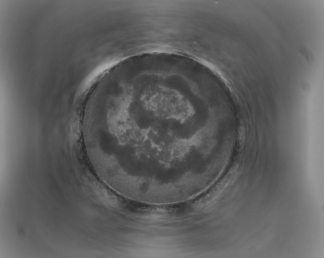 X0000115741359200911121529