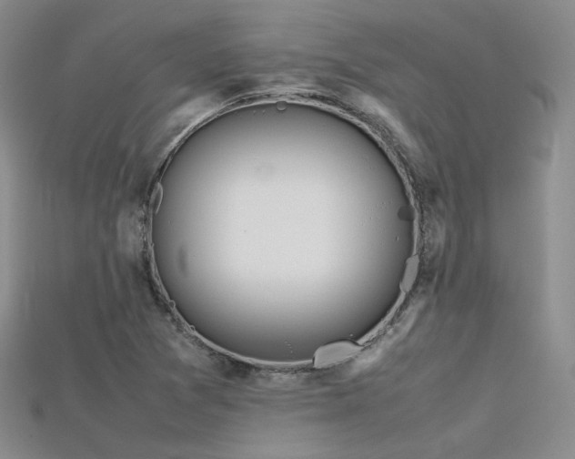X0000115741361200911121529