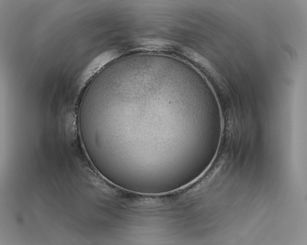 X0000115741362200911121529