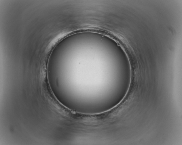 X0000115741363200911121529