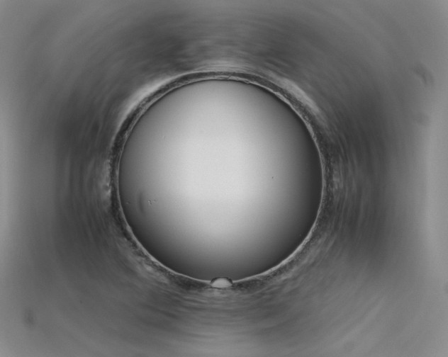 X0000115741364200911121529