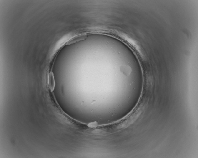 X0000115741365200911121529