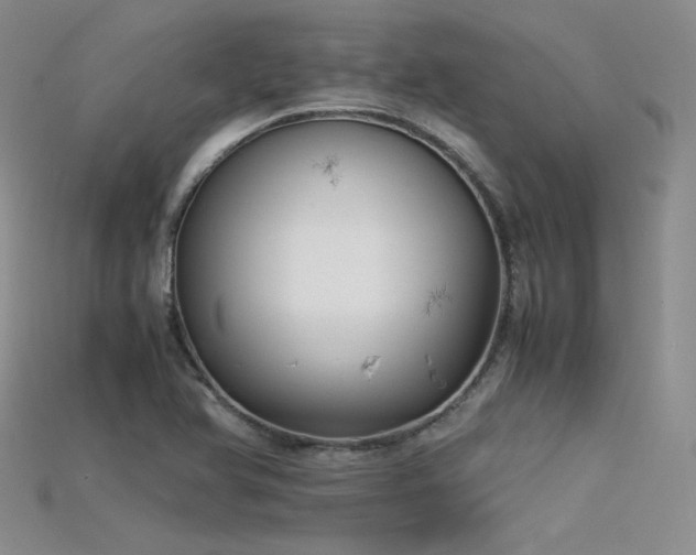 X0000115741366200911121529