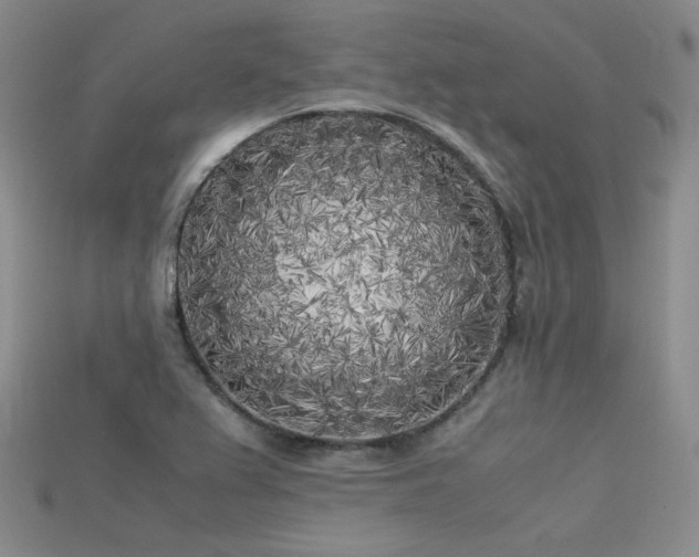 X0000115741367200911121529