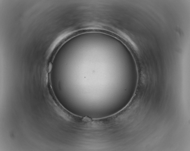 X0000115741368200911121529