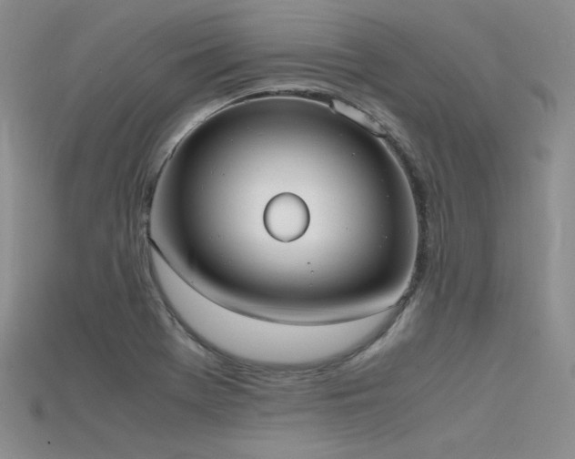 X0000115741369200911121529
