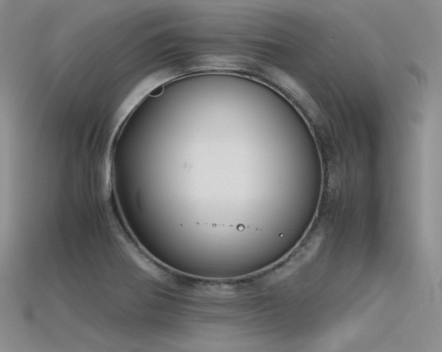 X0000115741370200911121529