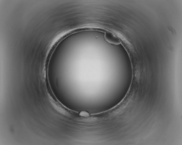 X0000115741372200911121529