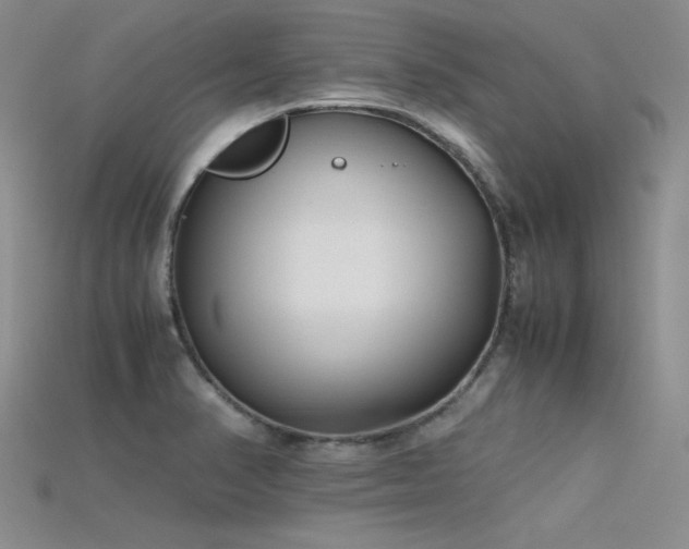 X0000115741374200911121529