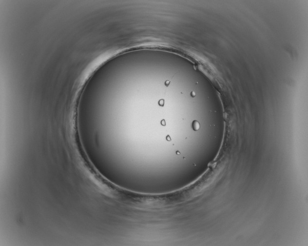 X0000115741375200911121529