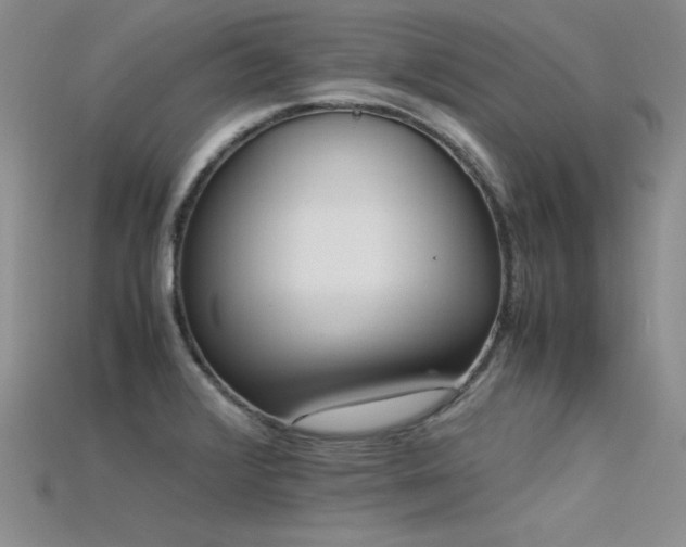 X0000115741376200911121529