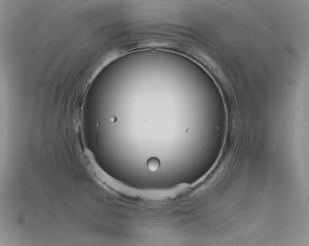 X0000115741377200911121529