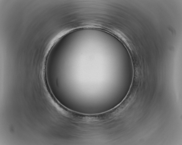 X0000115741379200911121529