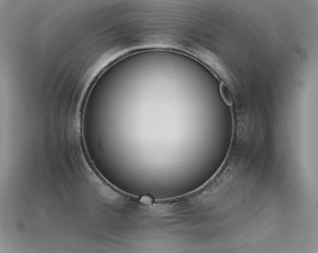 X0000115741380200911121529
