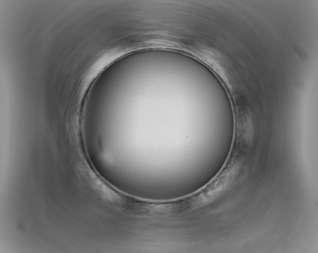 X0000115741381200911121529
