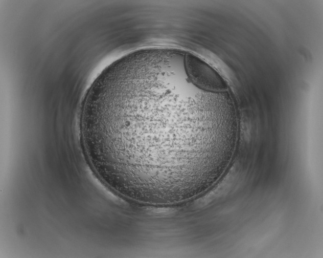 X0000115741382200911121529