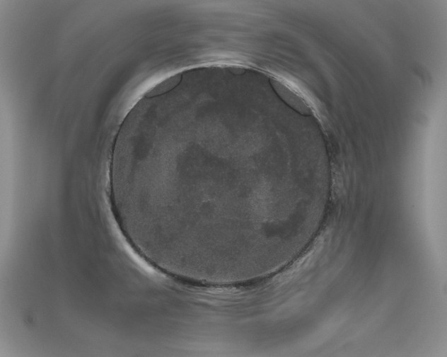 X0000115741383200911121529
