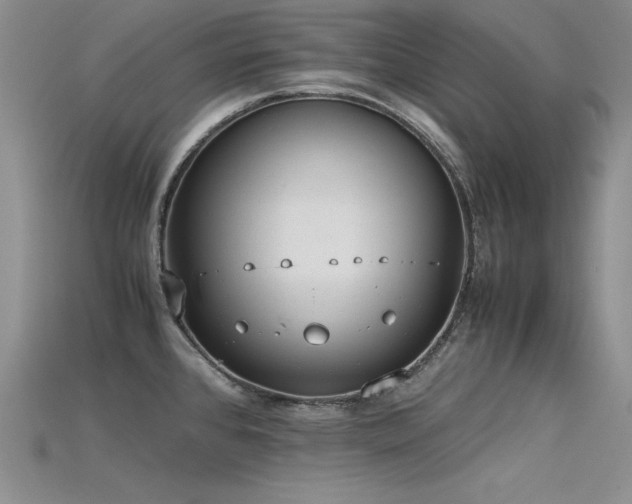 X0000115741384200911121528