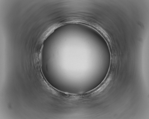 X0000115741385200911121528