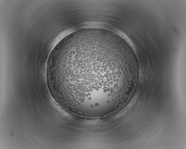 X0000115741386200911121528