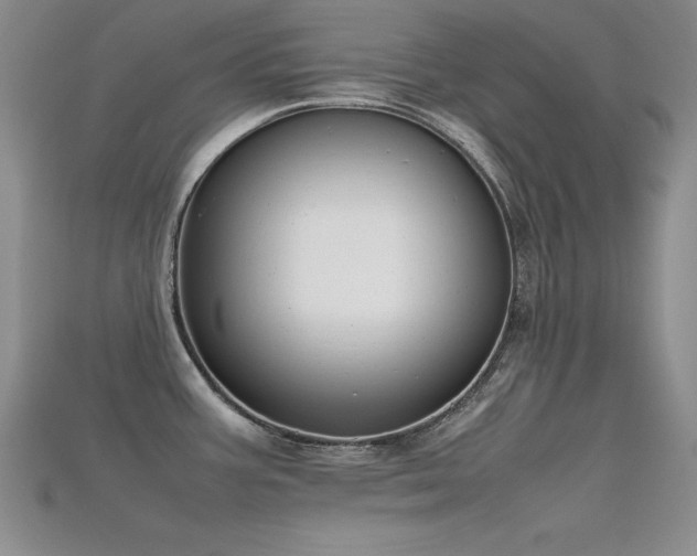 X0000115741387200911121528