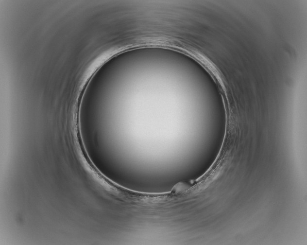 X0000115741389200911121528