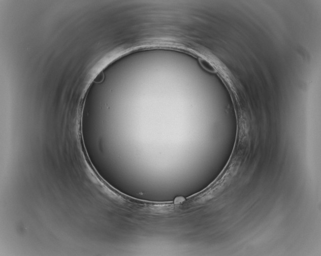 X0000115741390200911121528